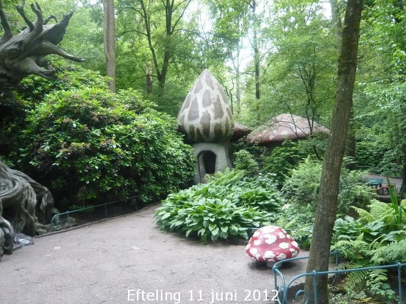 Klik hier voor meer info