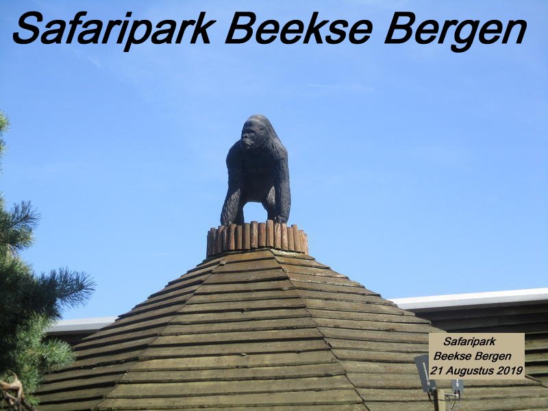 Klik hier voor meer info